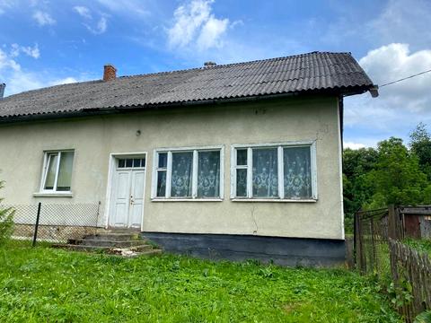 будинок за адресою с. Лопушанка-Хомина, Центральна вул., 46а