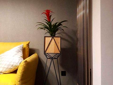 квартира за адресою Саперне Поле вул., 12