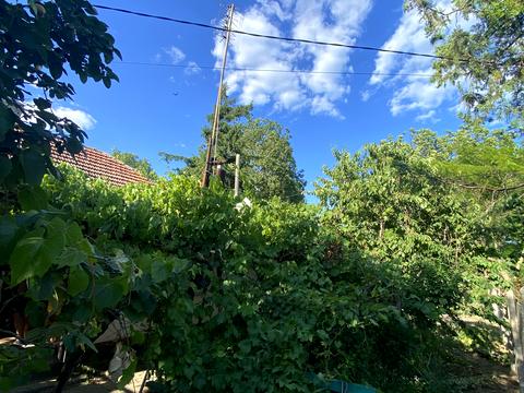 дом по адресу Симоненко Василия ул.