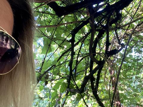 дом по адресу Симоненко Василия ул.