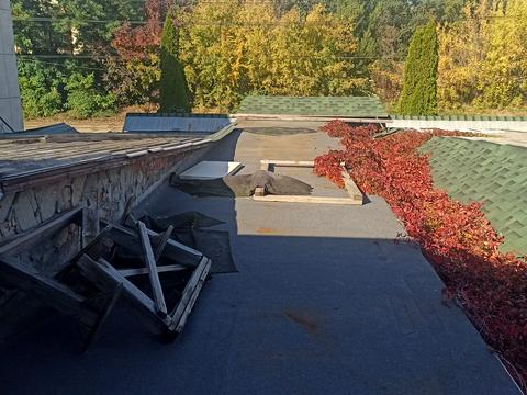 комерційна за адресою Дегтярівська вул., 51