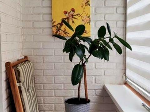 квартира по адресу Чаривная ул., 333