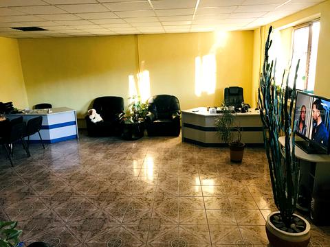 будинок за адресою В Симона Петлюри