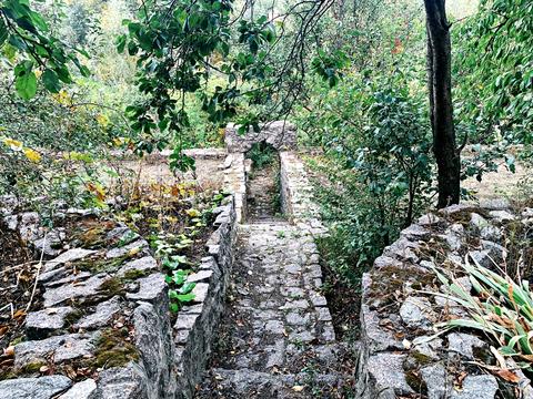 будинок за адресою В Симона Петлюри