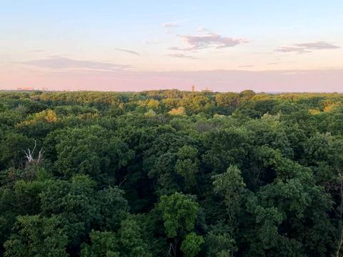 квартира за адресою Академіка Заболотного вул., 15-Б