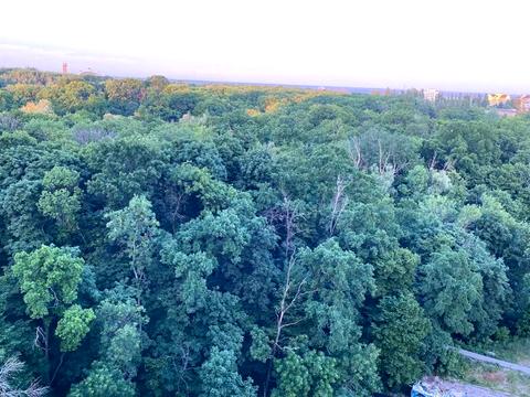 квартира за адресою Академіка Заболотного вул., 15-Б