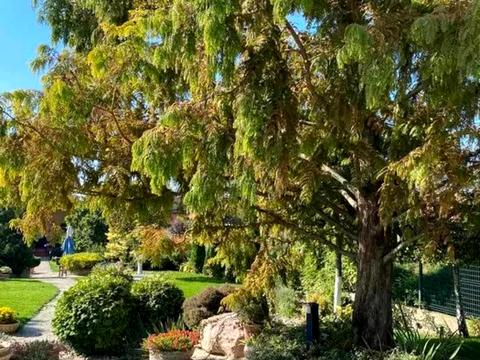 дом по адресу Садова