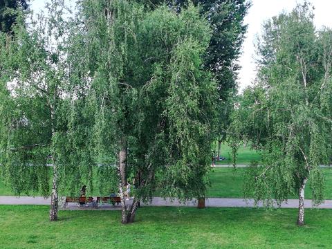 квартира за адресою Володимира Івасюка просп. (Героїв Сталінграду), 27-А