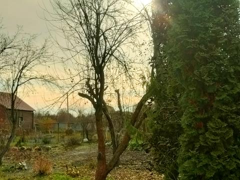 дом по адресу ізобільна, 17