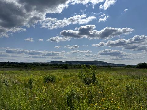 участок по адресу Європейська, 12