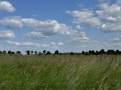 участок по адресу Європейська, 12