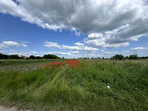 участок по адресу Європейська, 12