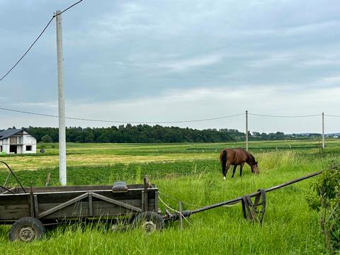 ділянка за адресою Озерна