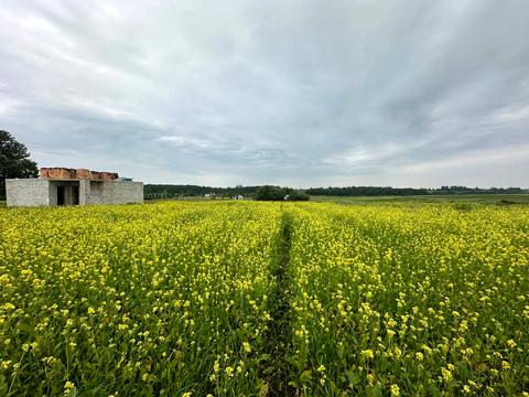 ділянка за адресою Озерна