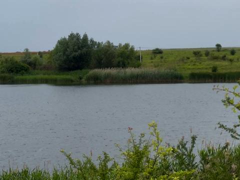 ділянка за адресою Озерна