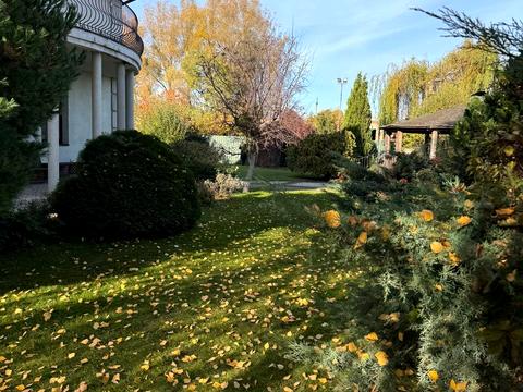 дом по адресу Шевченко ул.