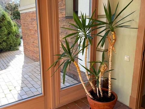 дом по адресу Шевченко ул.