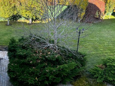 дом по адресу Шевченко ул.