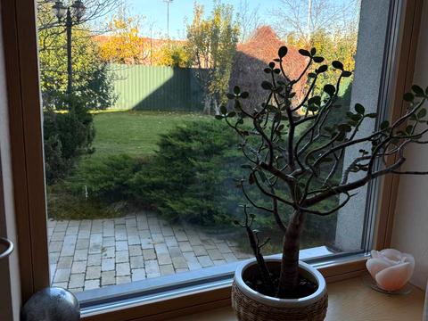 дом по адресу Шевченко ул.