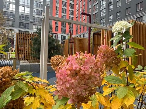 квартира за адресою Університетська вул., 1л