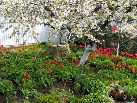 будинок за адресою Костанді вул.