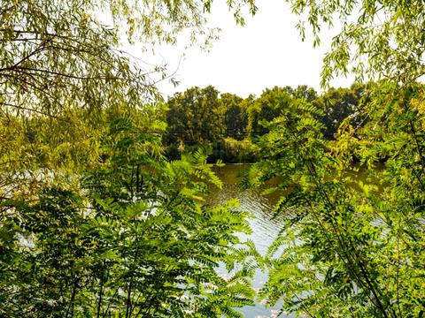 дом по адресу Старокиевская ул.