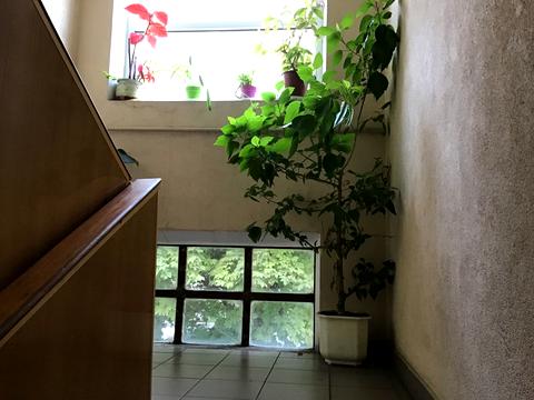 коммерческая по адресу Князя Владимира Великого ул. (Плеханова), 18