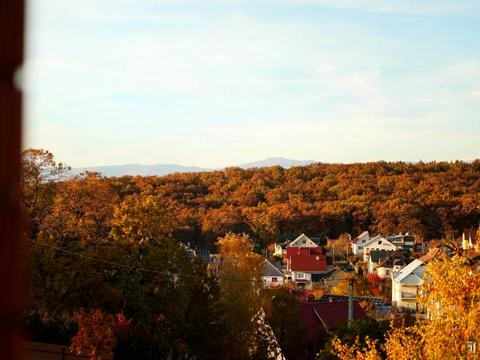 будинок за адресою Березова вул., 13