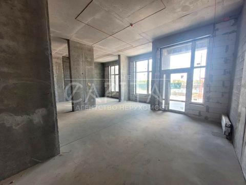 комерційна за адресою Олександра Олеся вул., 10