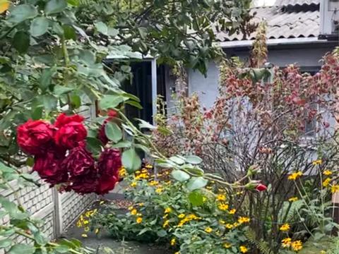 будинок за адресою Дніпро, Січовий пров. (Калініна), 10