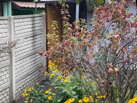 будинок за адресою Дніпро, Січовий пров. (Калініна), 10