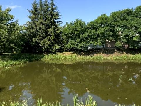 дом по адресу Озерна