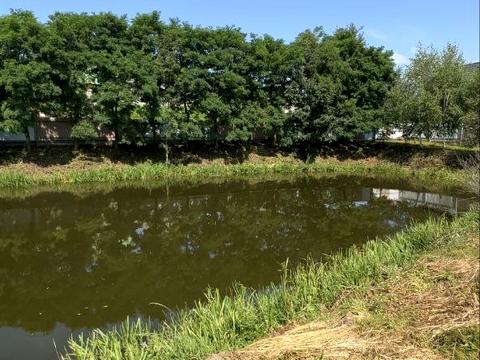 дом по адресу Озерна