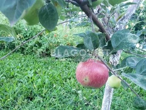 будинок за адресою Київ, Радосинська вул. (Леніна), 6