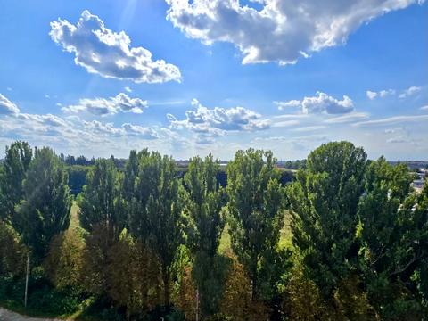 квартира за адресою Левка Лук'яненка вул. (Ватутіна), 16Б