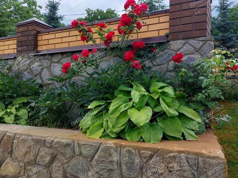 будинок за адресою Центральна, 23