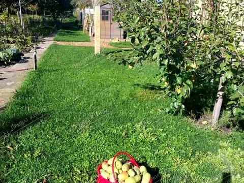 будинок за адресою Центральна, 23