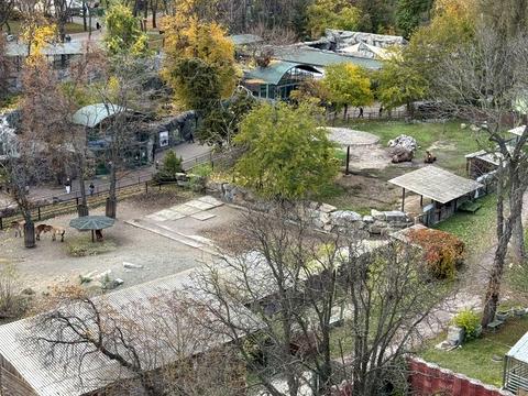 квартира по адресу Тбилисский пер., 1