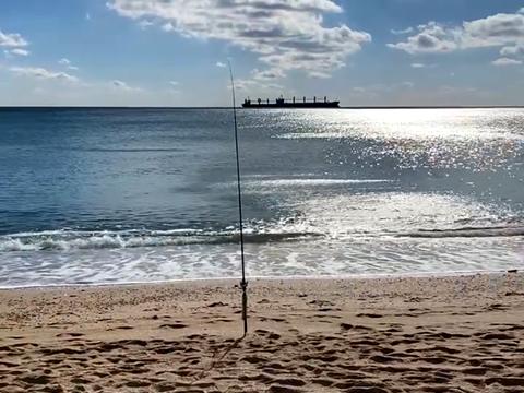 ділянка за адресою Дача Ковалевського вул.