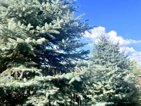 будинок за адресою 192-га Садова вул.