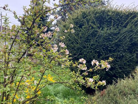 будинок за адресою 2-й Амундсена пров.