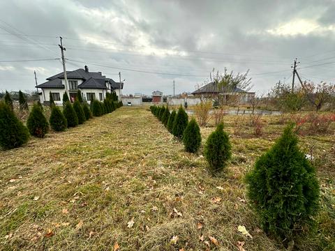 ділянка за адресою Костя Левицького вул.