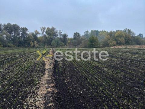 ділянка за адресою Ольховського, 12