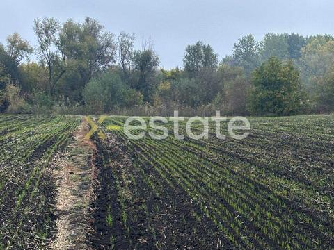 ділянка за адресою Ольховського, 12