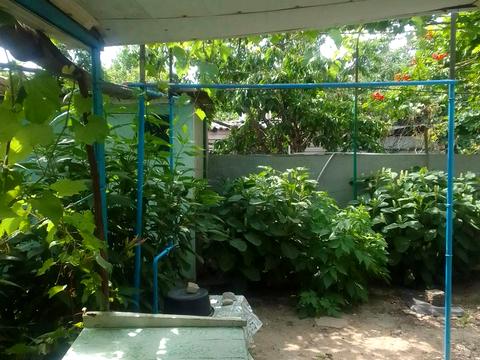 будинок за адресою Ризька вул.