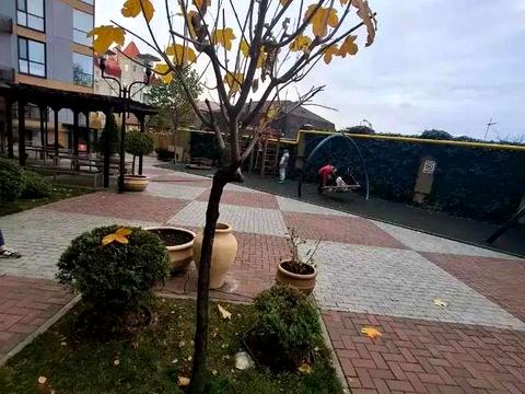 квартира за адресою Дніпро, Василя Вишиваного вул., 42-А