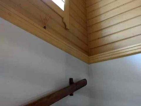 дом по адресу Осещина