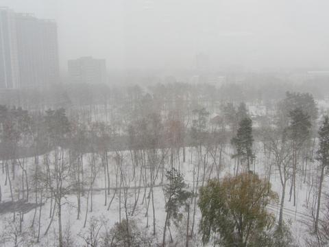 квартира по адресу Воскресенская ул., 18-Б