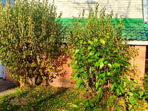 дом по адресу Київський шлях