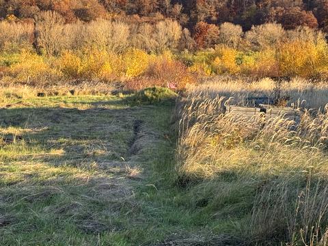 ділянка за адресою Підзамкова
